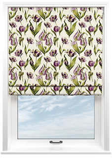 Carries Stripe, Mullacombe - Roman Blind